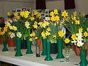 Spring Show 2008